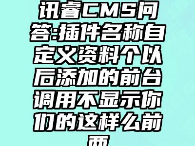讯睿CMS问答:插件名称自定义资料个以后添加的前台调用不显示你们的这样么前两