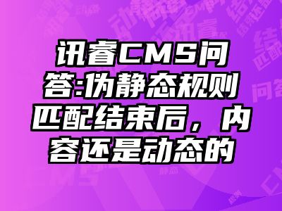 讯睿CMS问答:伪静态规则匹配结束后，内容还是动态的