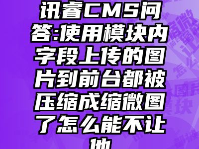讯睿CMS问答:使用模块内字段上传的图片到前台都被压缩成缩微图了怎么能不让他