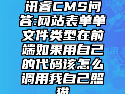 讯睿CMS问答:网站表单单文件类型在前端如果用自己的代码该怎么调用我自己照猫