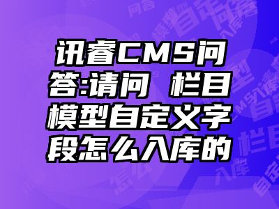 讯睿CMS问答:请问 栏目模型自定义字段怎么入库的