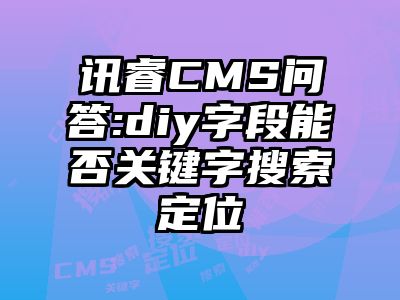讯睿CMS问答:diy字段能否关键字搜索定位