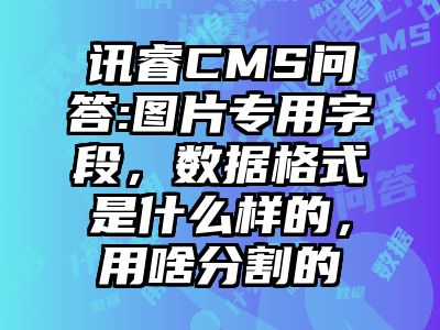讯睿CMS问答:图片专用字段，数据格式是什么样的，用啥分割的