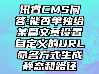 讯睿CMS问答:能否单独给某篇文章设置自定义的URL命名方式生成静态和路径