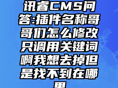 讯睿CMS问答:插件名称哥哥们怎么修改只调用关键词啊我想去掉但是找不到在哪里