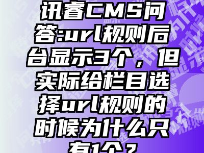 讯睿CMS问答:url规则后台显示3个，但实际给栏目选择url规则的时候为什么只有1个？