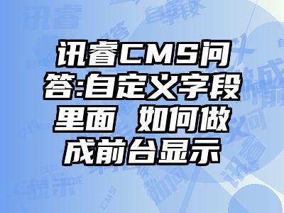 讯睿CMS问答:自定义字段里面 如何做成前台显示