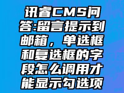 讯睿CMS问答:留言提示到邮箱，单选框和复选框的字段怎么调用才能显示勾选项